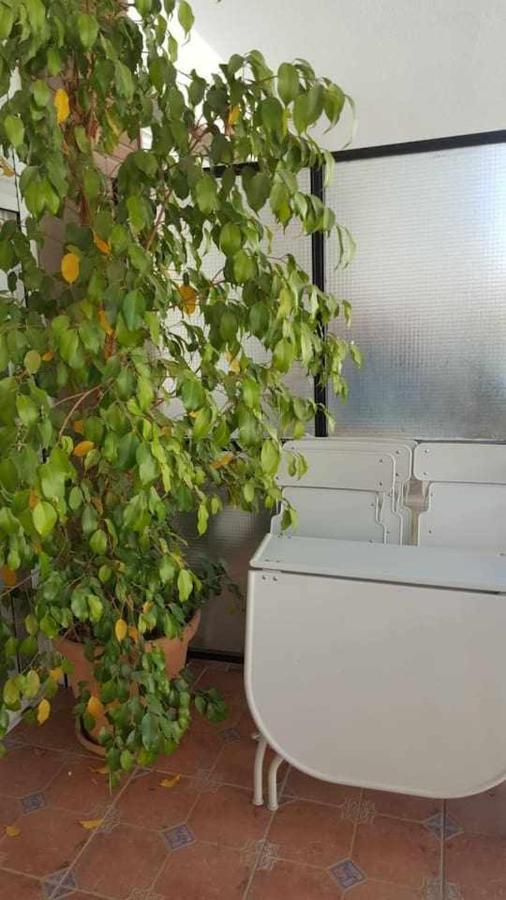 Castelar 19 Lägenhet Sevilla Exteriör bild